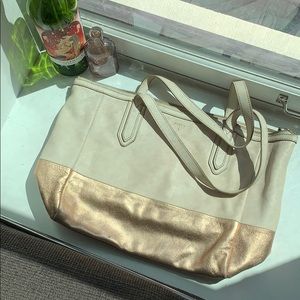 Medium sized fossil bag